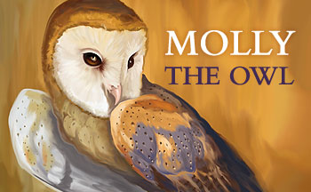 Barn owl Molly The Owl Branding and Illustration